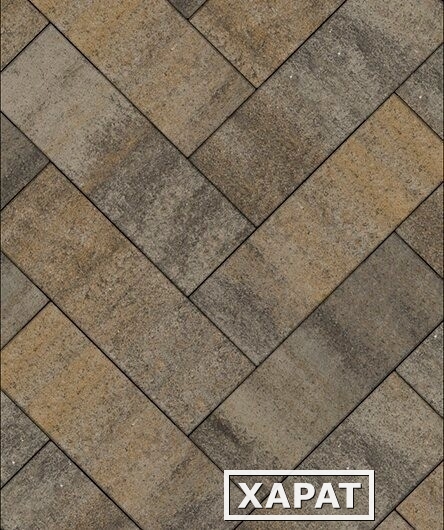 Фото Тротуарная плитка Выбор Паркет Искусственный камень 80 мм 600х200 Базальт