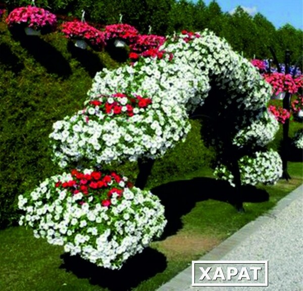 Фото Арка цветочная для вертикального озеленения Мостик АТТИК (Размер №1 1400х2600х1100мм)