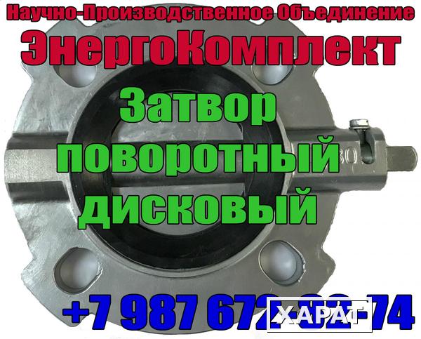 Фото Затворы дисковые трансформаторные ЗПД-50, 80, 100, 125, 150, 200