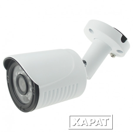 Фото Видеокамера AltCam ICF24IR-2