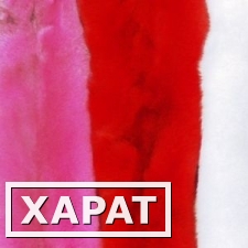 Фото Меховые опушки Енота, окрашенного в однотонный цвет