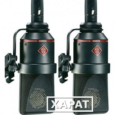 Фото Пара микрофонов Neumann TLM 170 R stereo set