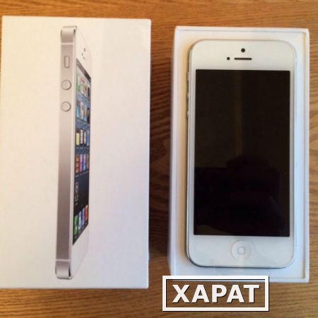 Фото Sealed Apple iPhone 5S 16gb Gold Color with AppleCare warranty