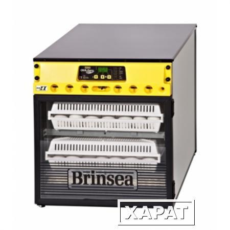 Фото Инкубатор на 192 яйца Brinsea Ova-Easy Advance EX Hatcher ser II выводной