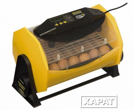 Фото Инкубатор на 20 яиц Brinsea Octagon 20 Advance автоматический без помпы