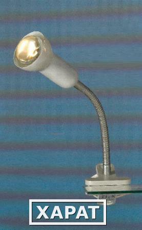 Фото Интерьерная настольная лампа Warshawa LST-4554-01