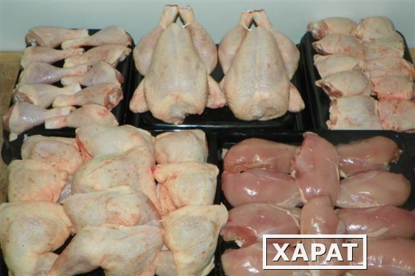 Фото Мясо говядина н/к, яйцо, Цыплята-бройлеры, разделка цб.