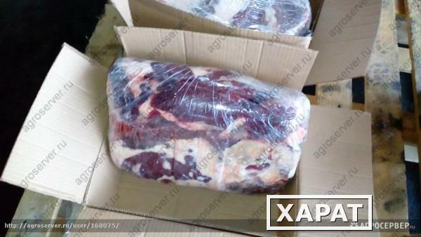 Фото Продаем лопатку говяжью замороженную ГОСТ 31797-2012