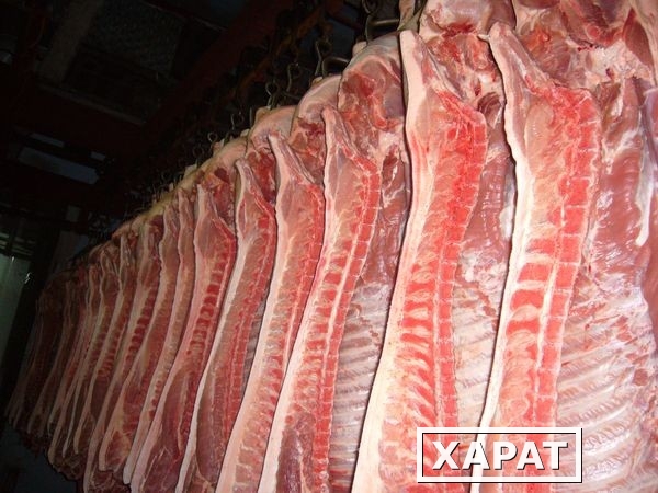 Фото Продажа свинины 1-ой и 2-ой категории оптом от 116 р/кг.Клкайте!