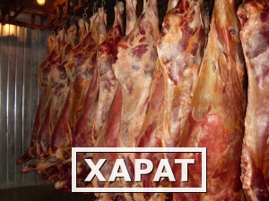 Фото Мясо говядина, свинина продаем оптом. Производство Россия, Белоруссия.
