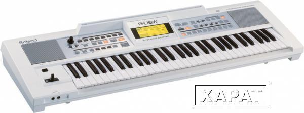 Фото Синтезатор ROLAND E-09W