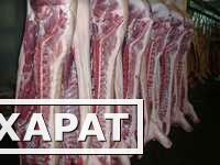 Фото Продаем мясо свинины 1, 2 кат. (полутуши охл/зам.), ГОСТ