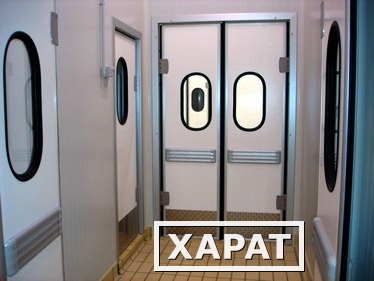 Фото Маятниковые и технологические двери