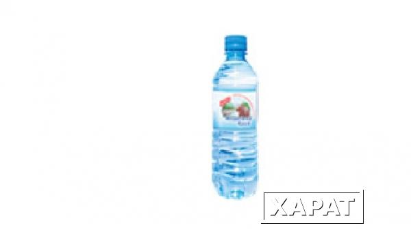 Фото «Медвежий край» - природная питьевая столовая вода. Бутылка 0,5л