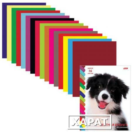 Фото Цветная бумага, А4, двухсторонняя, 16 листов, 16 цветов, HATBER VK, "Щенок", 195х270 мм