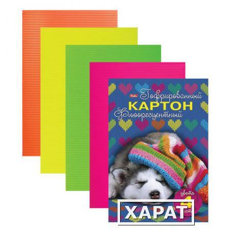 Фото Цветной картон, А4, гофрированный флуоресцентный, 4 листа, 4 цвета, HATBER, "Спящий щенок", 195х285 мм