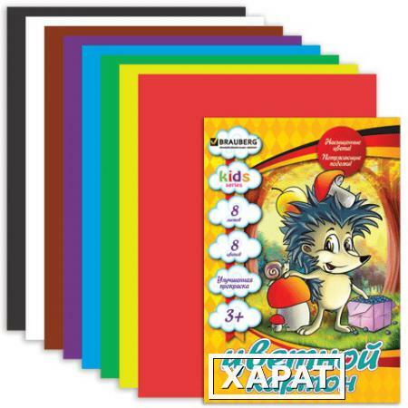 Фото Цветной картон, А4, 8 листов, 8 цветов, BRAUBERG (БРАУБЕРГ) "Kids series", "Ежик", 200х290 мм