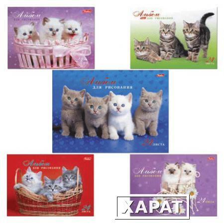 Фото Альбом для рисования, 24 л., HATBER, спираль, обложка мелованный картон, 100 г/м2, "Милые котята" (5 видов)