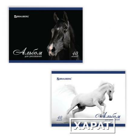 Фото Альбом для рисования, 40 л., BRAUBERG (БРАУБЕРГ), обложка мелованный картон, 100 г/м2, "Благородные кони", 2 вида