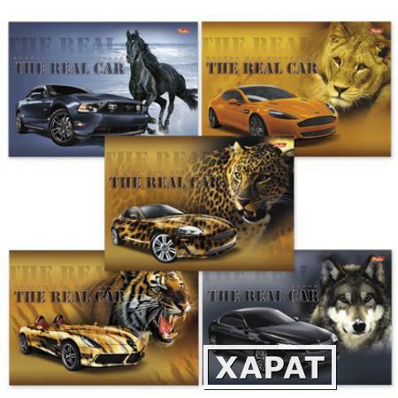 Фото Альбом для рисования, 24 л., HATBER, спираль, обложка мелованный картон, 100 г/м2, "Real Car" ("Машины") (5 видов)