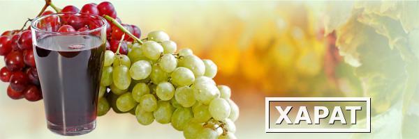 Фото Концентрированный сок белого винограда оптом