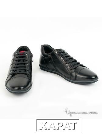 Фото Ботинки Neri &amp; Rossi, цвет черный