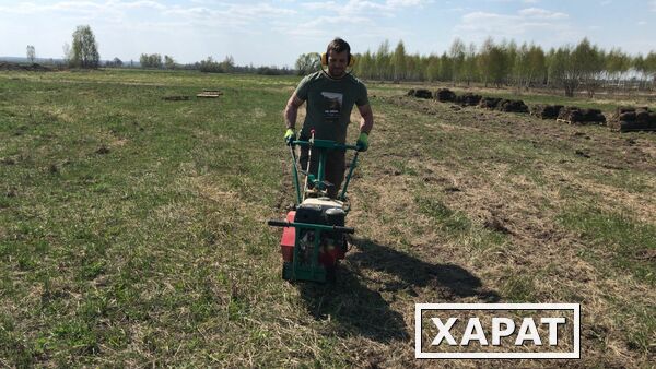 Фото Аренда подрезчика дерна в Рязани и области