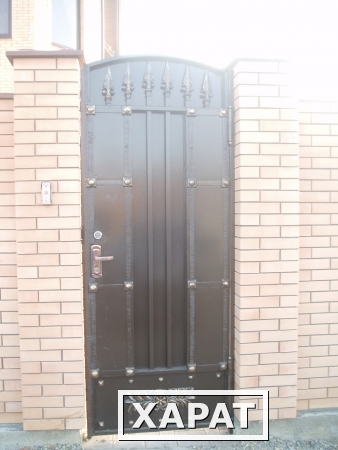 Фото Металлические двери с элементами ковки и литья.