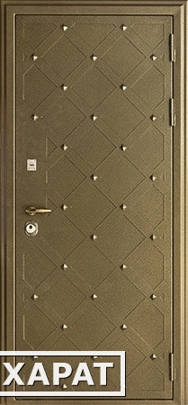 Фото Входная металлическая дверь Сундук