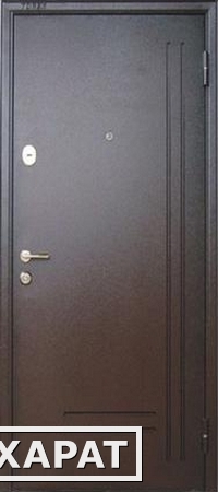 Фото Входная металлическая дверь TOREX (Торекс) Омега 2 RX-1