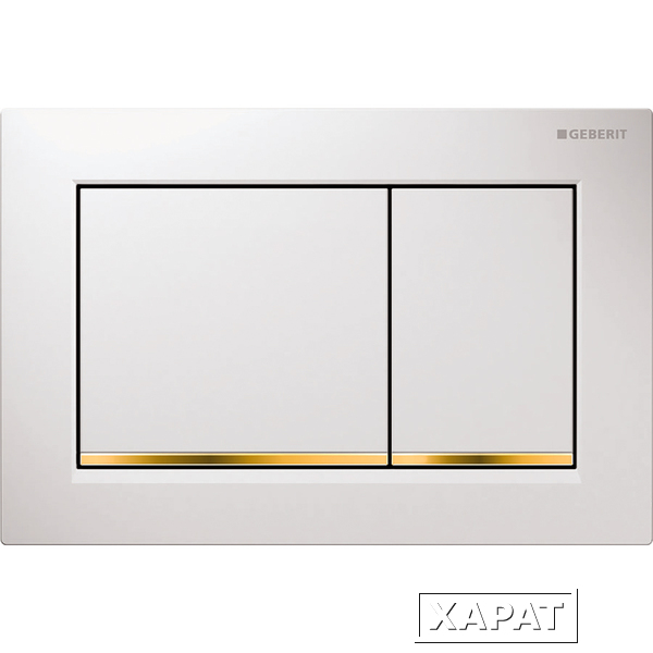 Фото Geberit Omega 30 115.080.KK.1 Кнопка для инсталляции для унитаза