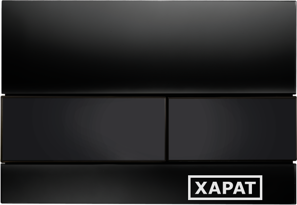 Фото TECEsquare, панель смыва с двумя клавишами стеклянная, цвет: стекло черное, клавиши черные