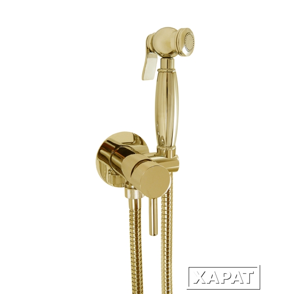 Фото Гигиенический душ со смесителем Giulini Futuro Classic золото 24 карата FSH25/1531O