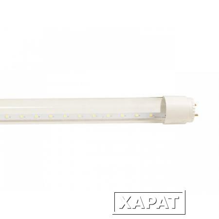 Фото Лампа светодиодная T8R 10 Вт 160-260В G13 4000К ASD (20 Вт аналог лампы накал., 800Лм, нейтральный белый свет) (4690612002606)