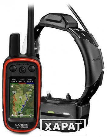 Фото Garmin GPS-навигатор Garmin Alpha 100 с ошейником Garmin TT15