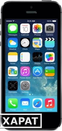 Фото Apple Apple iPhone 5S 16Gb Space Gray*