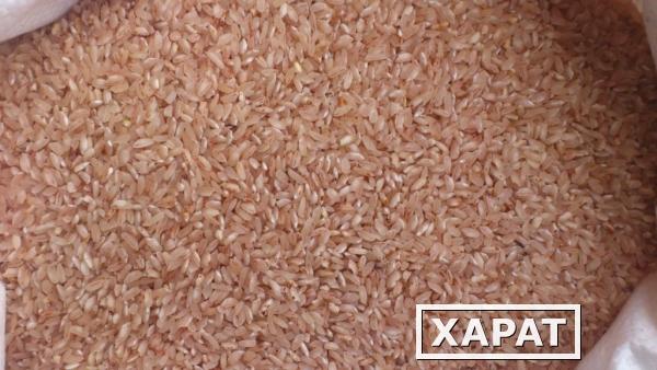Фото Рис Девзира, рис нешлифованный красный, рисовый микс и рисовая манка
