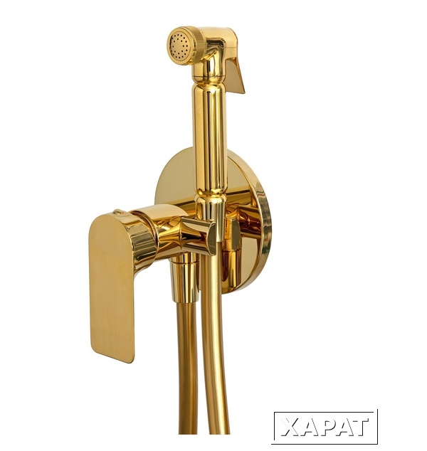 Фото Remer Infinity I65DO Гигиенический душ со смесителем (золото)