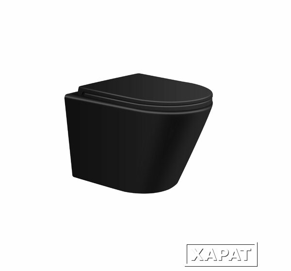 Фото Подвесной безободковый унитаз с сиденьем микролифт Avimano Intuition 1000072, цвет черный матовый