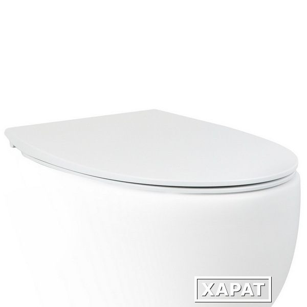 Фото Крышка-сиденье для унитаза c микролифтом SoftClose AeT Dot 2.0 цвет белый C555R100