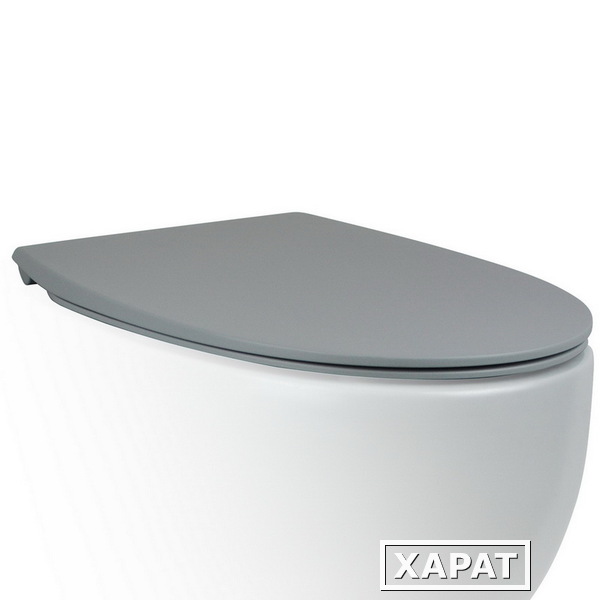 Фото Крышка-сиденье для унитаза c микролифтом SoftClose AeT Dot 2.0 цвет серый матовый C555R116