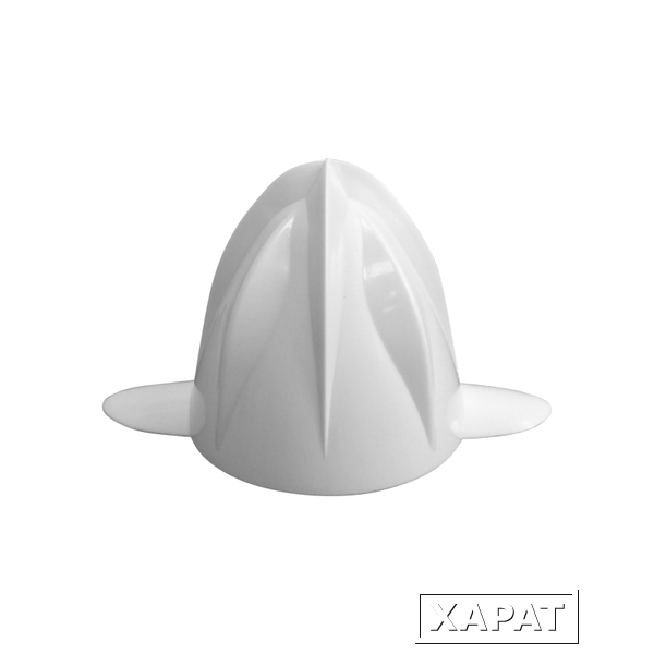 Фото Конус для соковыжималки Rowenta PA302E21/2DA