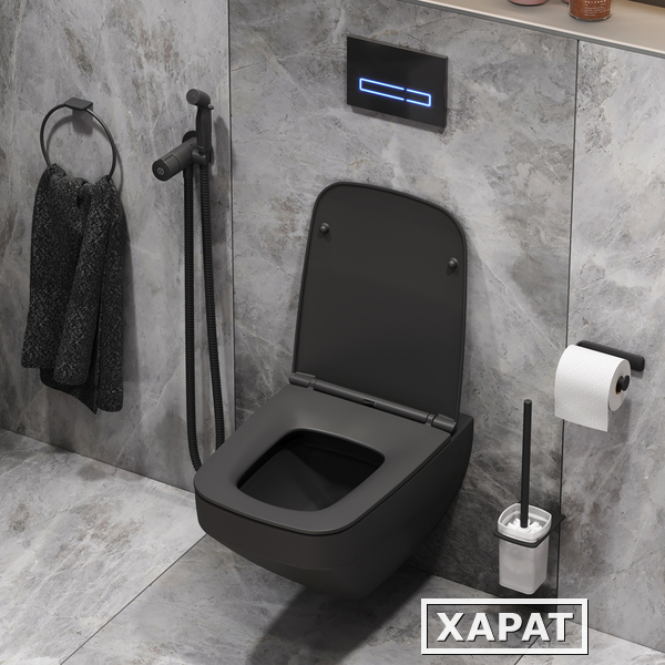 Фото Комплект для ванной комнаты Am.Pm Inspire V2.0 (CK50GG) черный