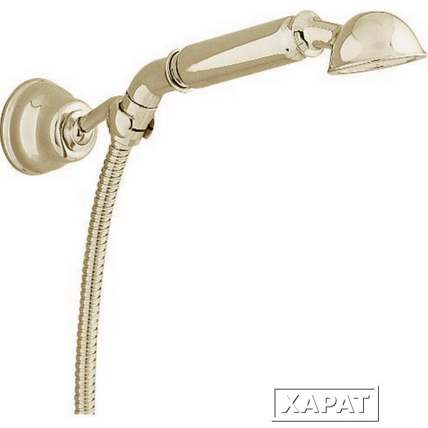 Фото Душевой гарнитур Cisal Shower AR00305024, золото