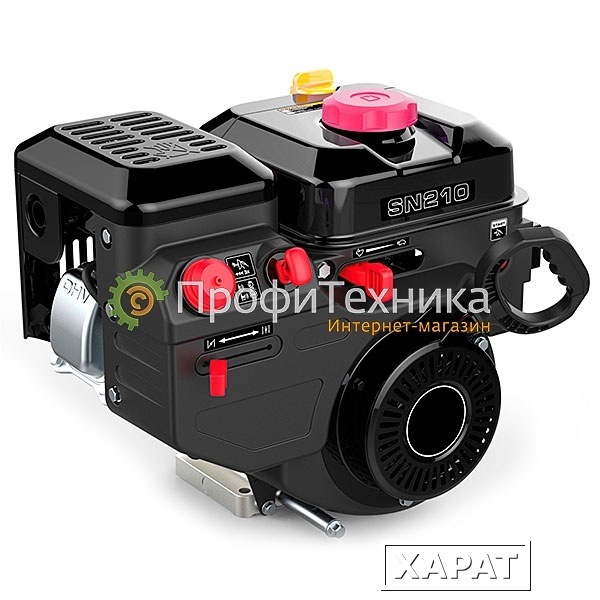 Фото Двигатель бензиновый EVOline SN 210