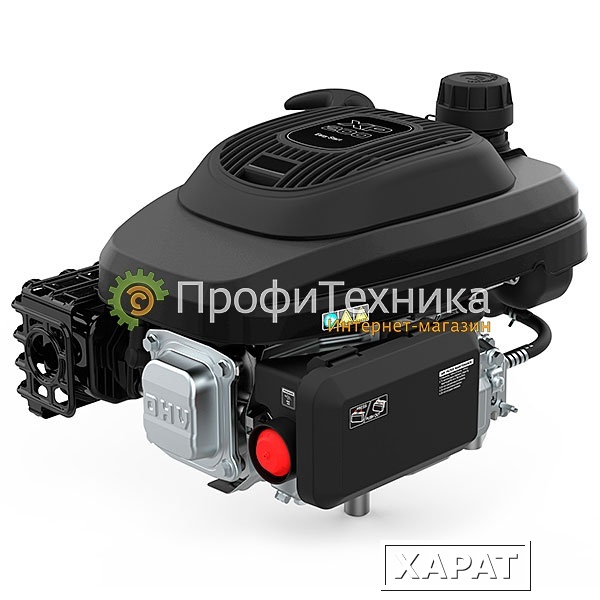 Фото Двигатель бензиновый EVOline XP 200 E