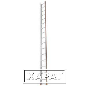 Фото Приставная лестница 16 ступеней эйфель комфорт - профи