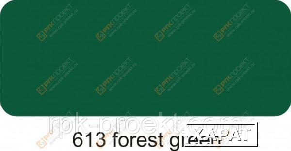 Фото Пленка ORACAL 641 613 глянцевая зеленый лесной (1м)
