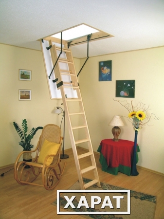 Фото Самый большой выбор чердачных лестниц в Черноземье! Теперь во всех офисах продаж компании РеКонСтрой!