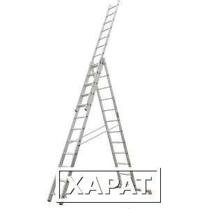 Фото Алюминиевая трехсекционная лестница 3х12 ступеней россия 97785
